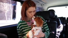 슈퍼디자인마켓 가희 내 성격, 눈물도 많고 여린 편