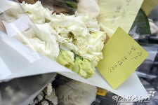 언니의 꿈은 뭐였나요[포토]