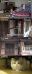 삼시세끼 이서진, 쿵이몽이와 첫날밤…모닝보조개 오픈