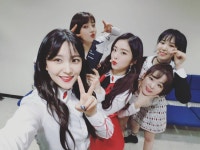 고마워요 대댕큐…레드벨벳, 루키 9관왕 자축