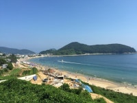 멍게비빔밥 찾아 떠나는 거제도 맛집찾아 여행