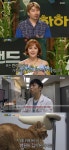 하하랜드 24시 동물병원, 아픈 이들의 쉼터 (종합)