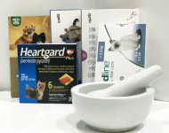 반려동물 예방접종 비용 부담, 동물약국서 직접 백신 구입할 수 있어