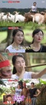 [전일야화] 싱글와이프2 김정화X김효정, 원주민과 함께한 목장체험