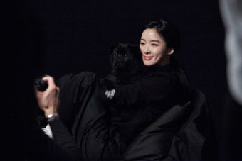김재중·라미란·박성웅 등 25人, '블랙독 입양 캠페인' 화보 재능기부