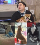 2차 남북정상회담 결과 뉴스특보…동물농장 지연방송