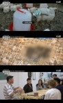 식량일기 농장 식구들, 육계 처리 두고 고민 잡거나 분리하거나