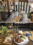 파주 데이트코스로 좋은 식물카페 천천히카페, 초록초록한 분위기 이색 공간으로 주목