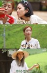 염정아·윤세아·박소담 케미 폭발, 삼시세끼 산촌편 잘 돌아왔다 [첫방]