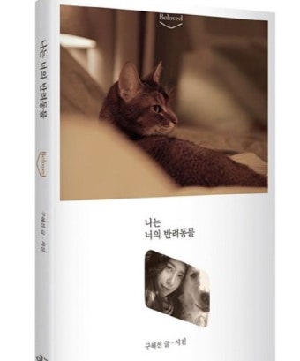 구혜선, 안재현 반려묘 안주 재차 언급 