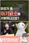 방탄소년단 진 팬클럽, 11,111,111원 기부한 이유는? “아기 염소 닮아서”