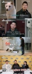 개는 훌륭하다 현진영, 犬 향한 애정…학대견 10마리 구조 [전일야화]