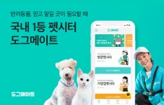 펫시터 예약 서비스 ‘도그메이트’, 시리즈 A 투자 유치