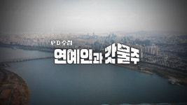PD수첩, 연예인 건물주가 갓물주가 된 이유→투자 방법 공개