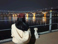 김사랑, 반려견과 다정한 한강 밤 산책 아이와 나 [★해시태그]