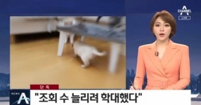 수의대생 유튜버 갑수목장, 동물학대 논란…절대 그런 적 없다 반박 [엑s 이슈]