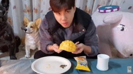 청렴 유튜버? 도박 중독자…유튜버 코기TV지훈, 불법도박으로 후원금 탕진