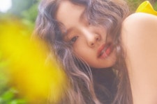 블랙핑크 제니 SOLO, 스포티파이 韓 솔로가수 최고 등극…강남스타일 제쳤다
