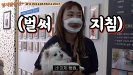 이영지, 강아지 유치원 선생님으로 변신 자애롭고 훌륭한 훈련사 될 것 (영지발굴단) [종합]