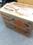 제주 농장에서 온 편지…가슴에 베어스 새기며
