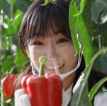 이유리, 파프리카 농장 접수…과즙미 팡팡 수확 요정 (편스토랑)