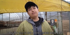 한태웅 안락사 직전 데려와…반려견들 사연 多 (태웅이네)[종합]