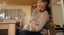 이상순♥ 이효리 순심이, 고요하게 떠났다…첫 만남 추억 (동물농장)[종합]