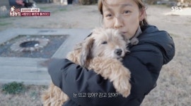 이상순♥ 이효리, 반려견 순심이 추억…사랑을 배워 (동물농장)