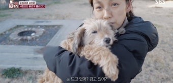'이상순' 이효리, 반려견 순심이 추억…