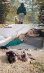 이상순♥ 이효리, 반려견 순심이 추억…사랑을 배워 (동물농장)