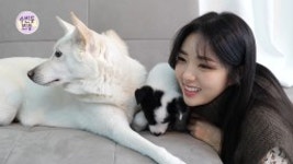 수빈둥빈둥 채수빈, 반려견들과 사진 촬영→첫눈 구경까지