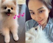장동건♥고소영 163억 펜트하우스 누비는 반려견, 주인복 타고났네