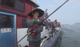 종료 5분 남기고 히트…안면도 엔딩요정은? (도시어부3)