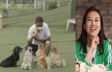 원조 개통령 이웅종, 1박 2일 상근이→스타견 보배의 개아빠 (베짱이)