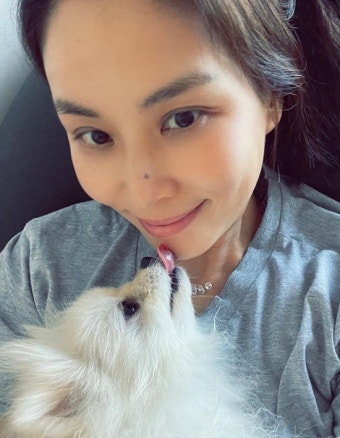 '장동건' 고소영, 반려견 생일에 신났네…엄마 손길 남달라
