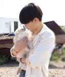 BTS 지민, 강아지를 귀여워하는 강아지