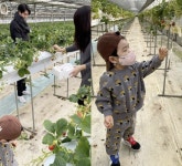 서수연♥이필모, 子 담호와 딸기 수확 체험…엄마 껌딱지