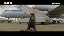 팔마 아홉 살 소년·셰퍼드 팔마의 특별한 우정…전 세계 울린 감동 실화