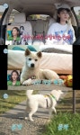 설인아, 반전 일상 공개 무인텔 숙박→주 3회 보드장 방문 (나혼산)[종합]
