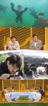 다이빙 삼형제, 제주 해녀 변신…돌문어X뿔소라 잡기 도전 (작전타임)