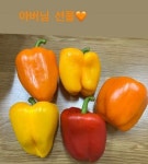 혼전임신 장미인애, 예비 시부모님 선물에 감동…사랑받는 일상