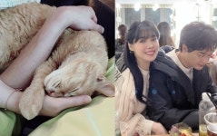 이장원♥ 배다해, 동물농장서 입양한 준팔이 벌써 15세 이겨내자