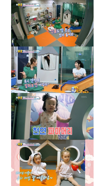 나비 
