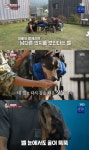 배정남 반려견 벨, 급성 디스크로 전신마비…기적 일어날 거라 믿어 (동물농장)[종합]