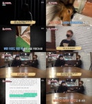 동물농장 야생동물카페 참극 방송 후, 업주 강력 처벌 요청 쇄도 [종합]
