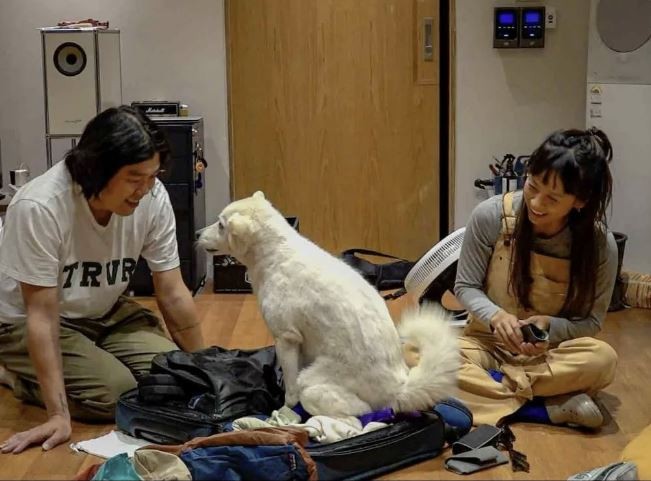 이효리, 암 투병 중 작별한 반려견 석삼이에게 마음을 전해“.