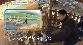 양떼목장 有경험자 집념의 연정훈, 양 7마리와 정면셀카 성공 (1박 2일)[종합]