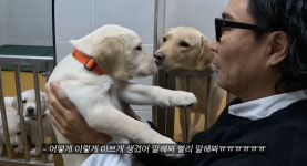 정재형, 딸+손주 만남에 감격…대견하게 잘 컸다 (요정재형)