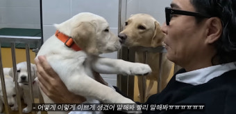 정재형, 딸+손주 만남에 '감격'…