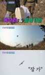 신동엽 동물농장 22년 진행하면서 방생 처음→독수리 방생 성공 (손없는날)[전일야화]
